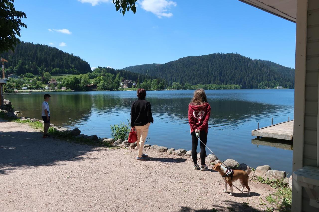 Chambres D'Hotes Le Chene Ban-sur-Meurthe-Clefcy Eksteriør billede